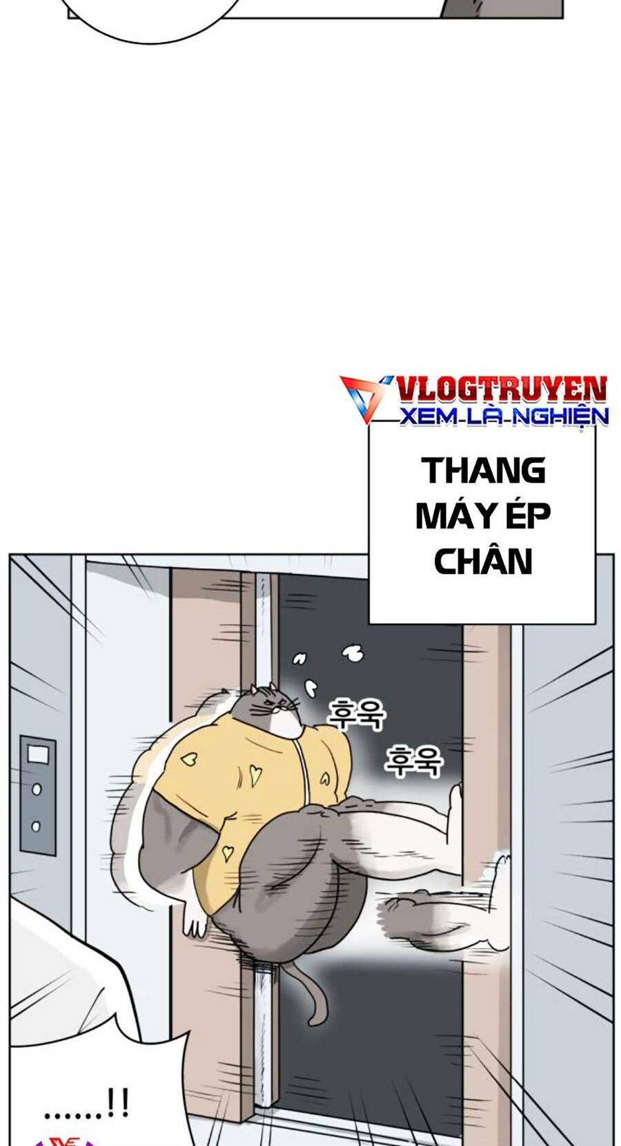 con mèo đô vật của tôi chapter 3 - Next chapter 4