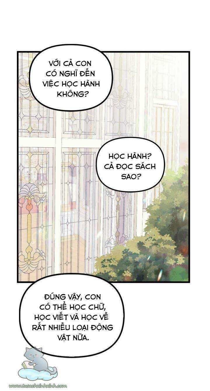 công chúa bãi rác chapter 49 - Trang 2