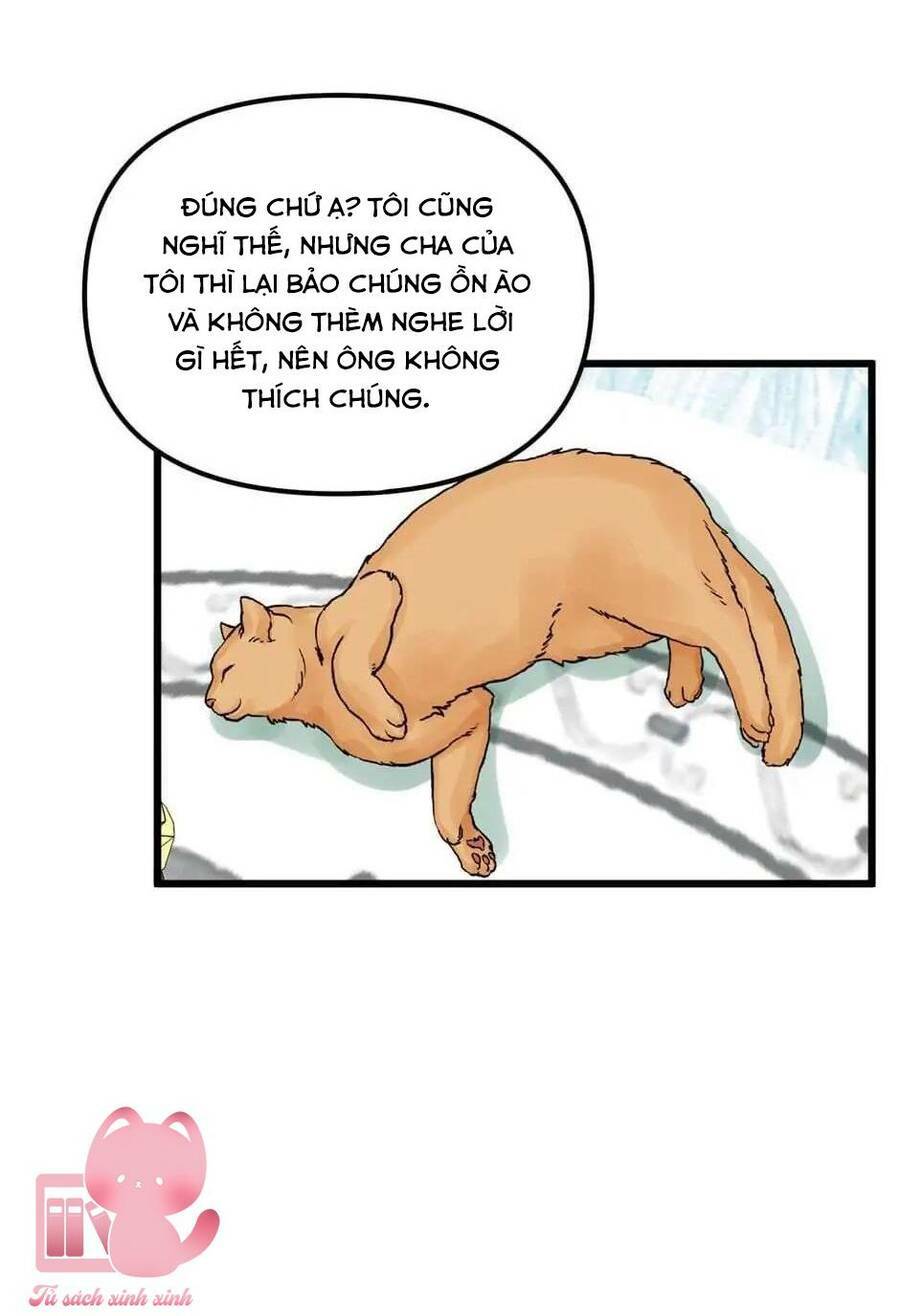 công chúa bãi rác chapter 64 - Trang 2