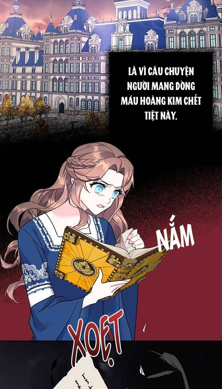 Công Chúa Của Loài Chim Chapter 29 - Trang 2