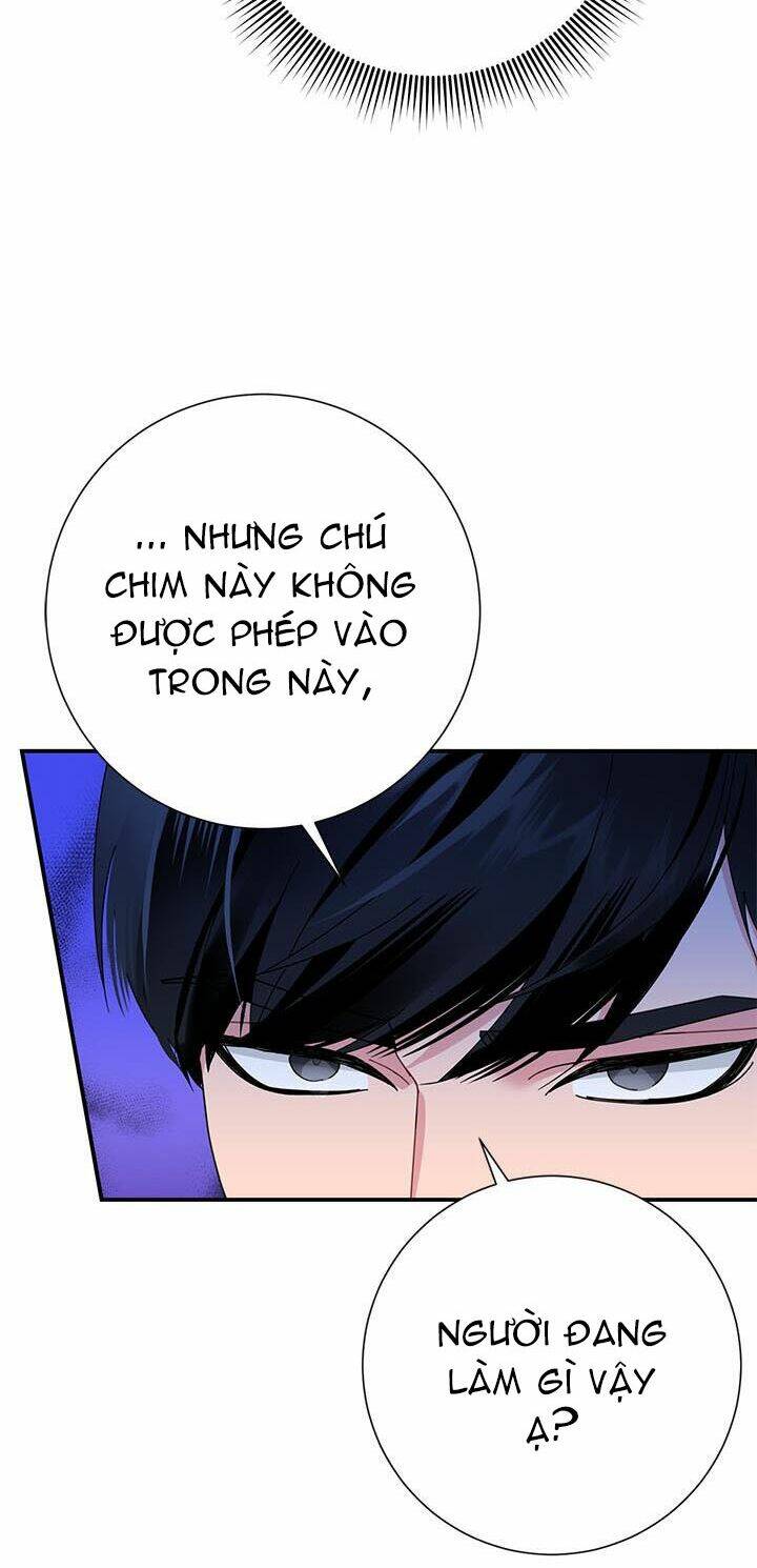 Công Chúa Của Loài Chim Chapter 45 - Trang 2