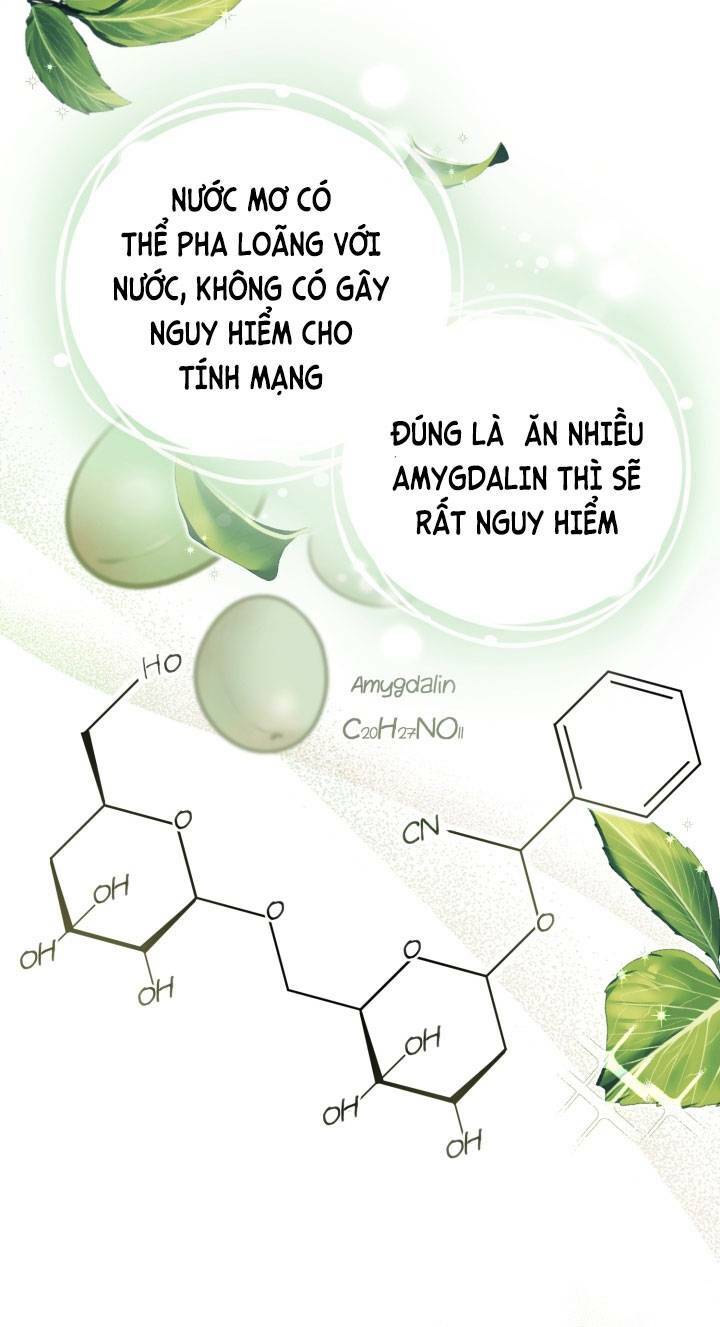 công chúa dược sĩ bé con chapter 11 - Trang 2