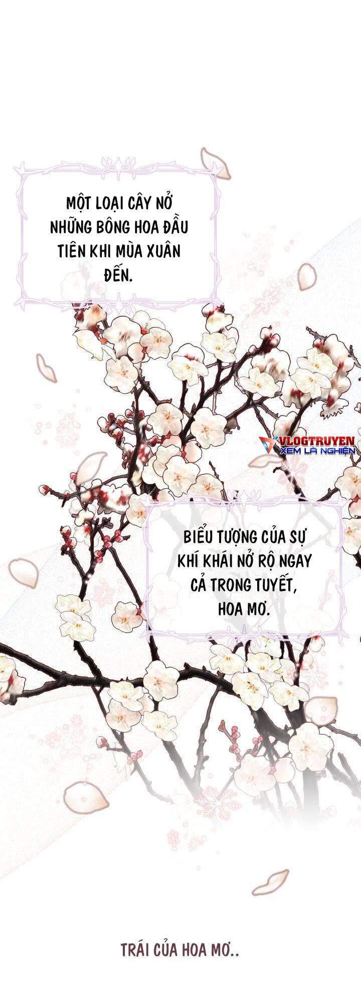 công chúa dược sĩ bé con chapter 7 - Next chapter 8