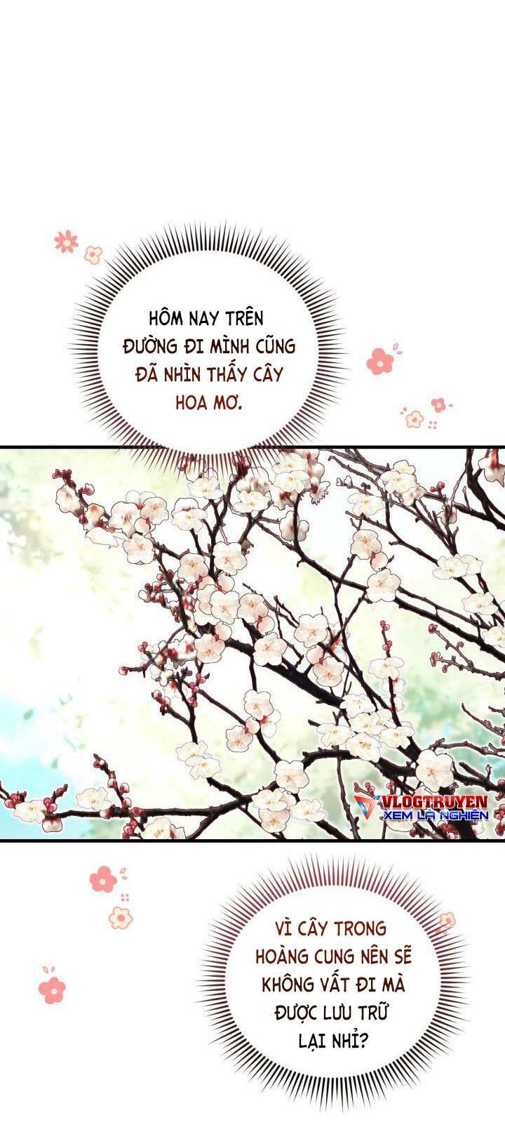 công chúa dược sĩ bé con chapter 7 - Next chapter 8