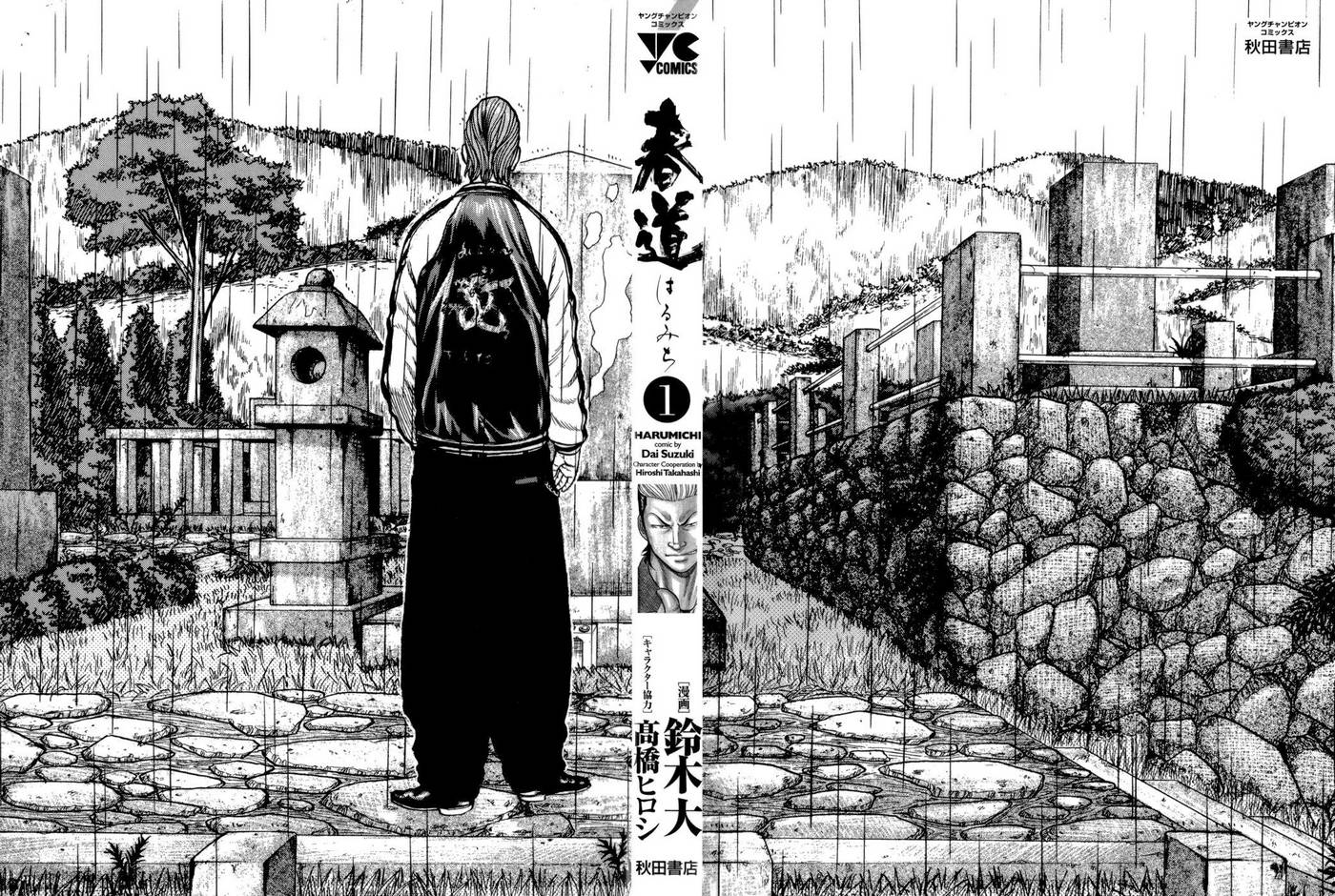 Crows Gaiden - Harumichi Chapter 1 - Next Chapter 2