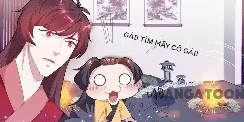 cực phẩm bại gia tử chapter 31 - Next chapter 32