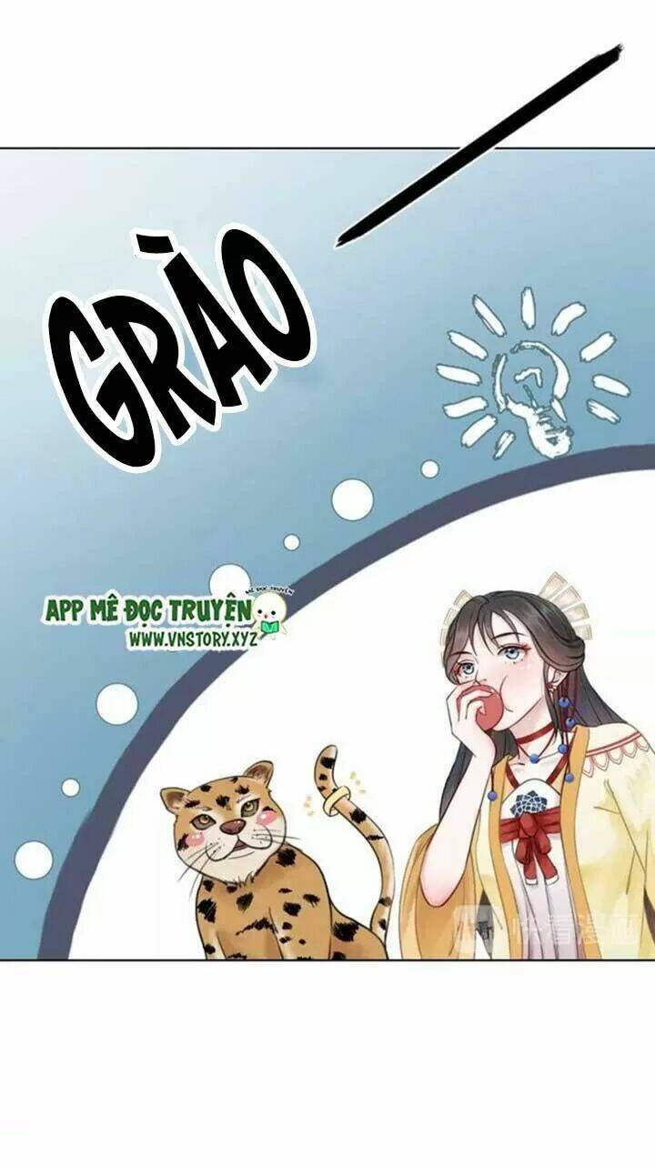 cực phẩm phế vật tiểu thư chapter 63: làm thợ săn tiền thưởng - Trang 2