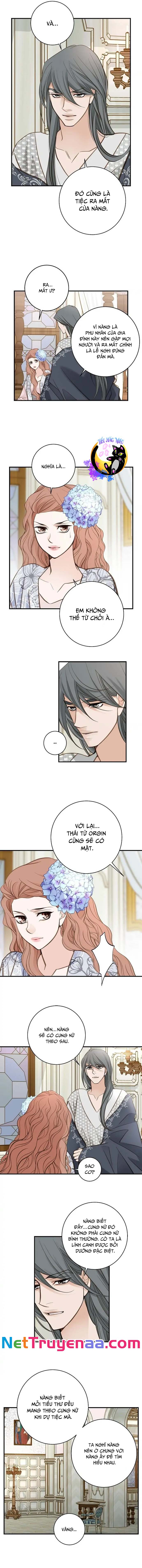 CUỘC HÔN NHÂN SỐNG CÒN Chapter 58 - Next Chapter 59