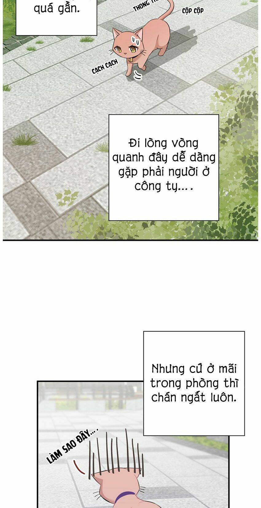 cuộc sống kỳ thú chapter 21 - Trang 2