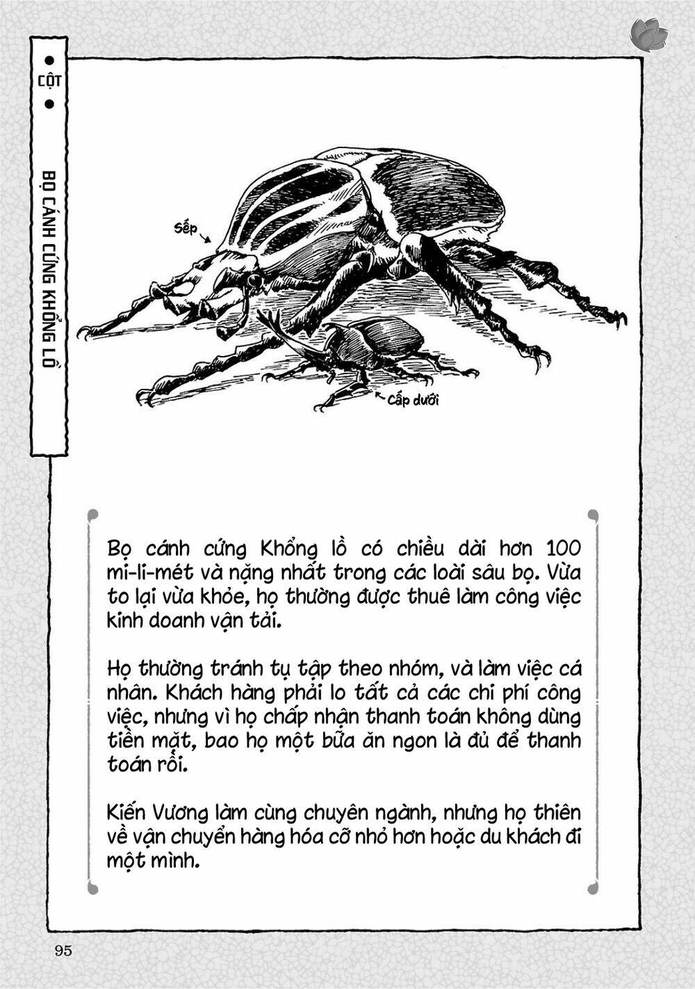 cuộc sống tí hon trong rừng sâu. chapter 4: Đêm đầy sao và cam mật - Next chapter 5: ngày làm việc