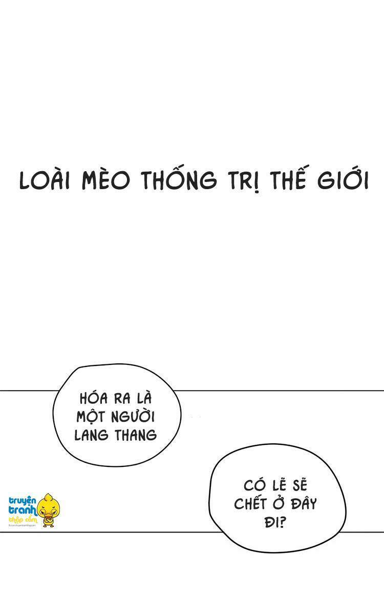 cứu mạng! loài mèo thống trị thế giới rồi! chương 1 - Next chương 2