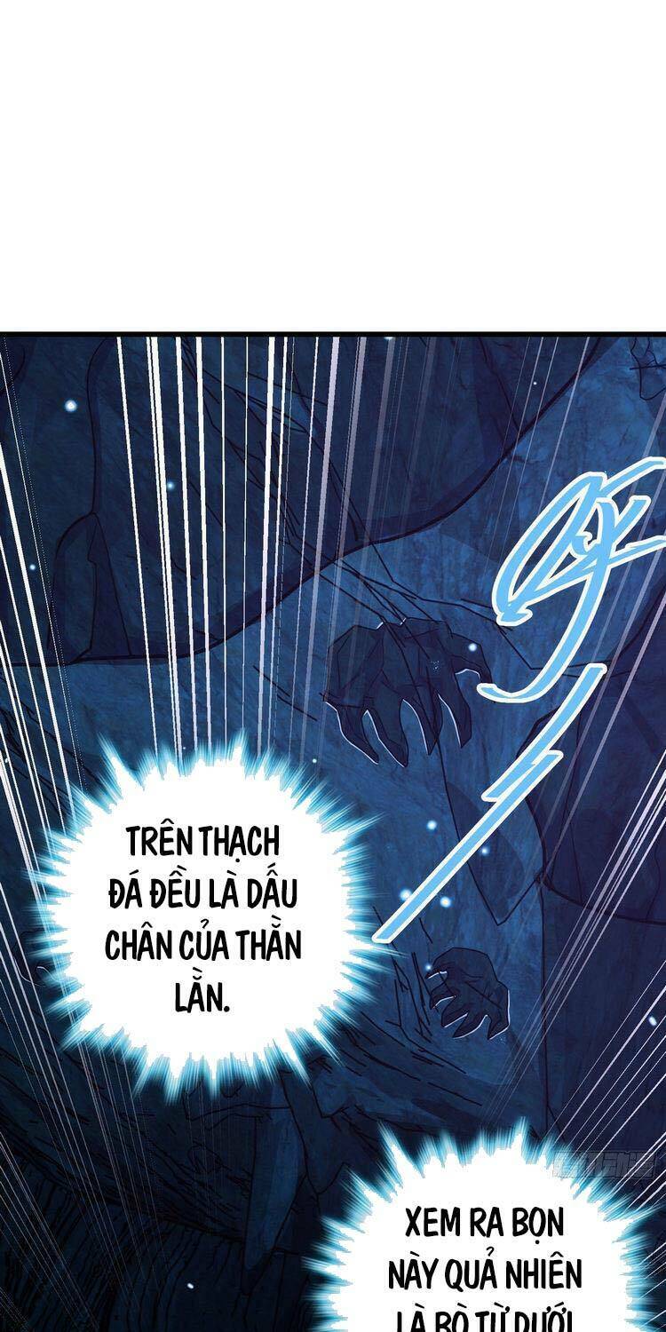 đại vương tha mạng chapter 295 - Next chapter 296