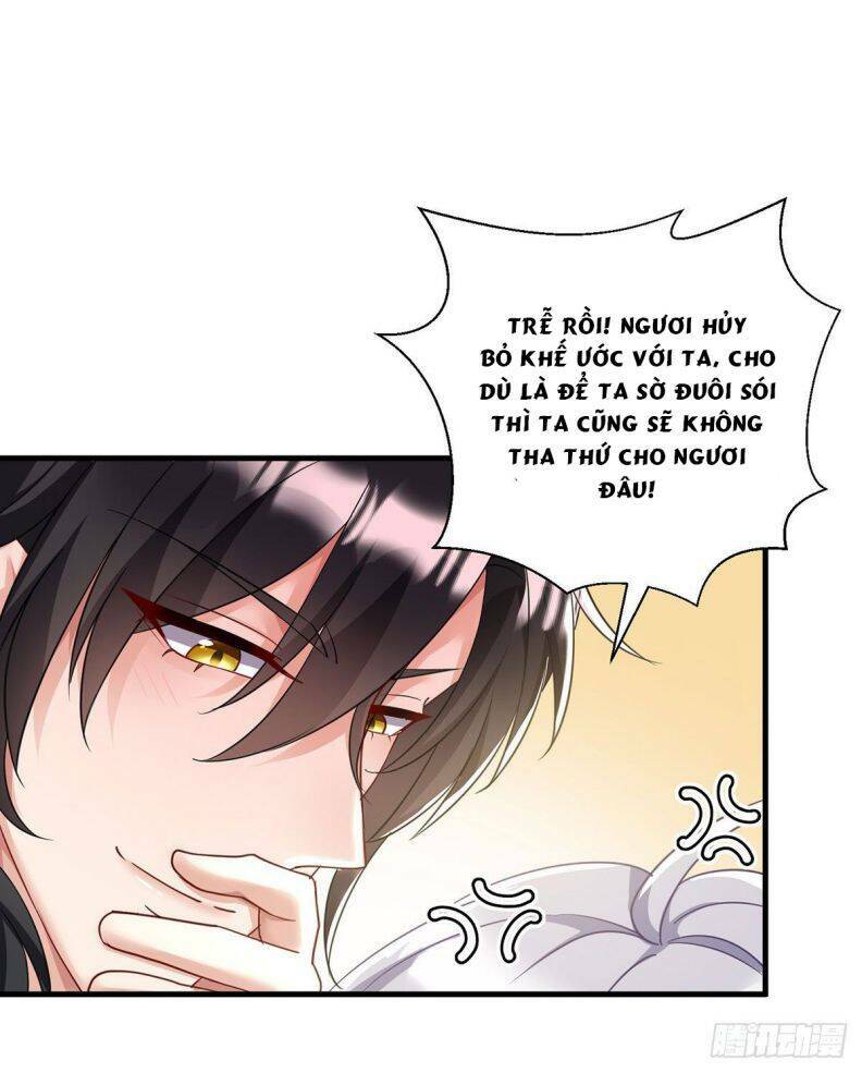 dẫn sói vào phòng chapter 107 - Trang 2