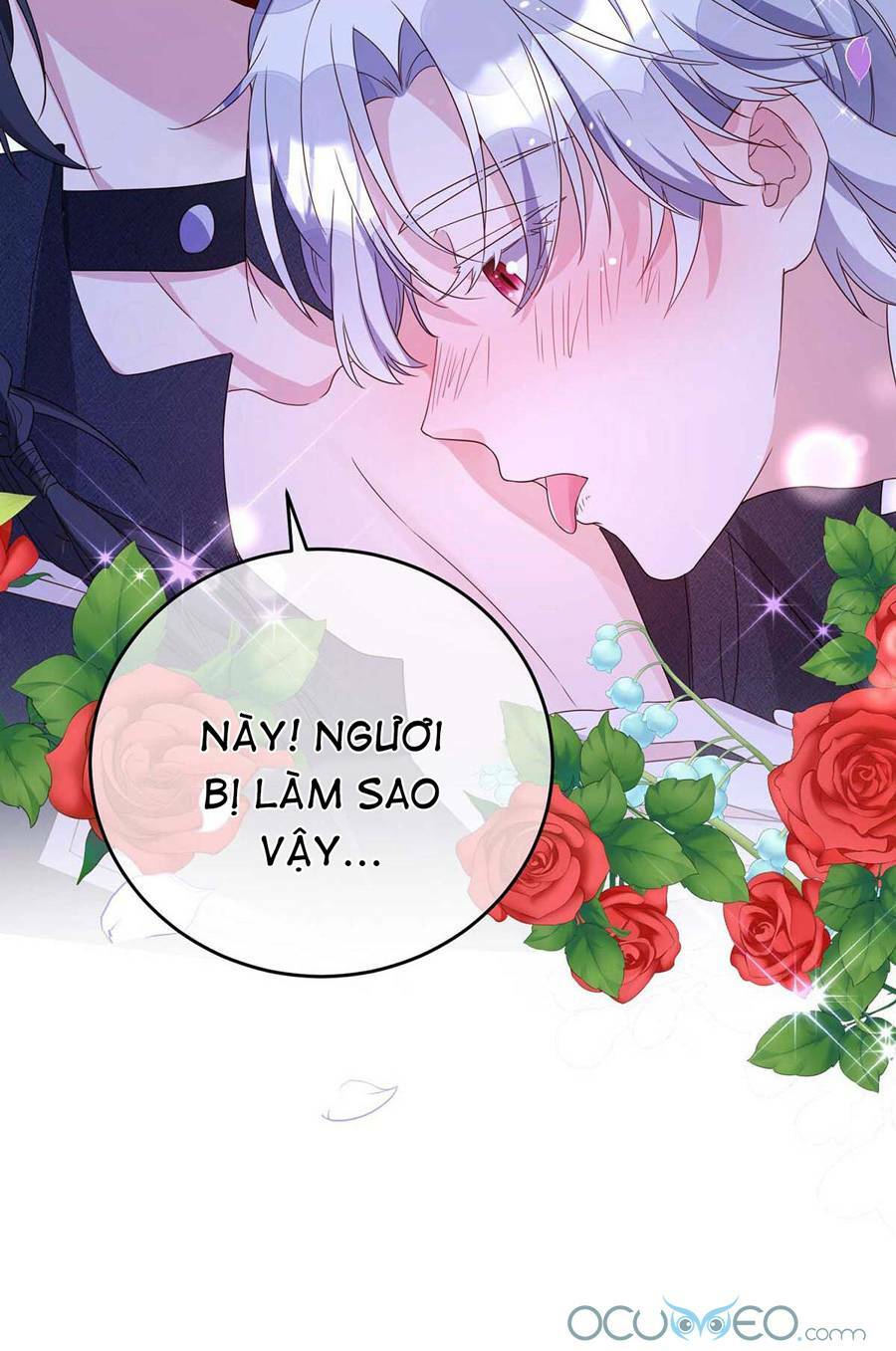 dẫn sói vào phòng chapter 12 - Trang 2