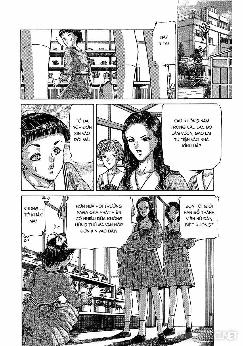 Dangerous female teacher Chapter 17 - Next Chapter 18