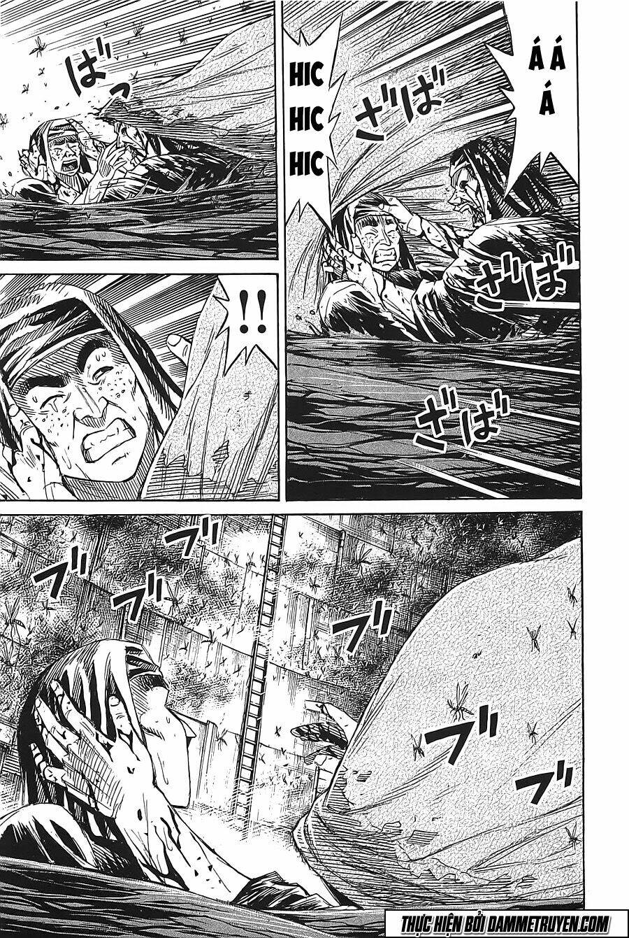 đảo ma cà rồng chapter 357 - Next chapter 358