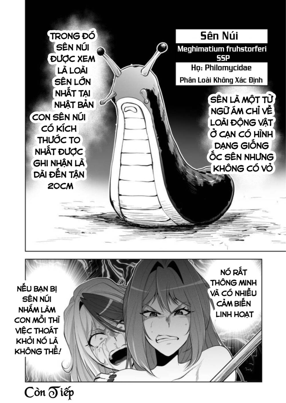 dãy núi côn trùng chapter 34: cơ sở - Next chapter 35: cơ thể mềm