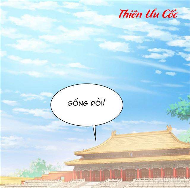 Đế Hoàng Chi Thần Y Khí Phi Chapter 4 - Next Chapter 5