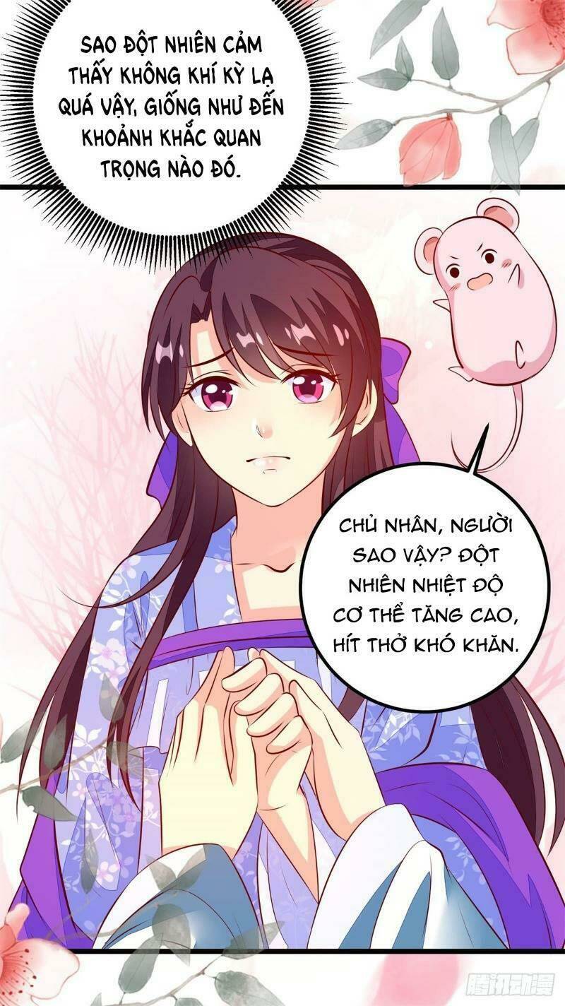 Đế Hoàng Chi Thần Y Khí Phi Chapter 44 - Next Chapter 45