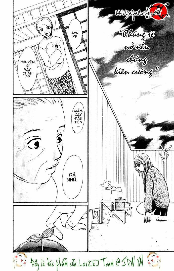 Deep Love - Ayu Monogatari Chapter 1 - Trang 2