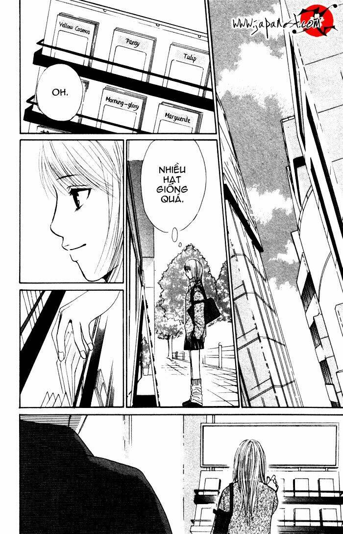 Deep Love - Ayu Monogatari Chapter 1 - Trang 2