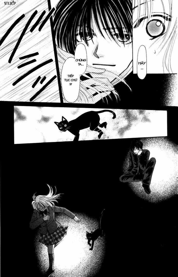 Devil Cat's Temptation Chapter 1 - Trang 2