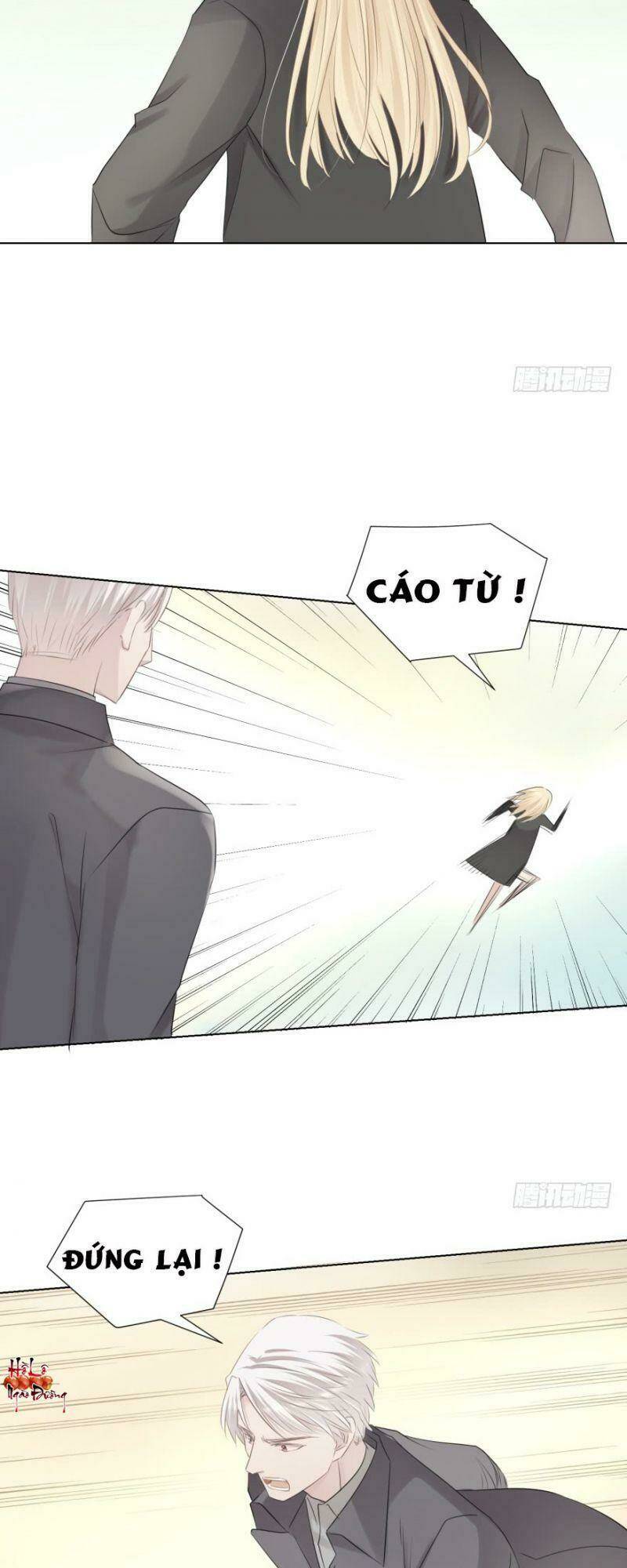 Điều Giáo Gấu Bắc Cực Chapter 11 - Trang 2