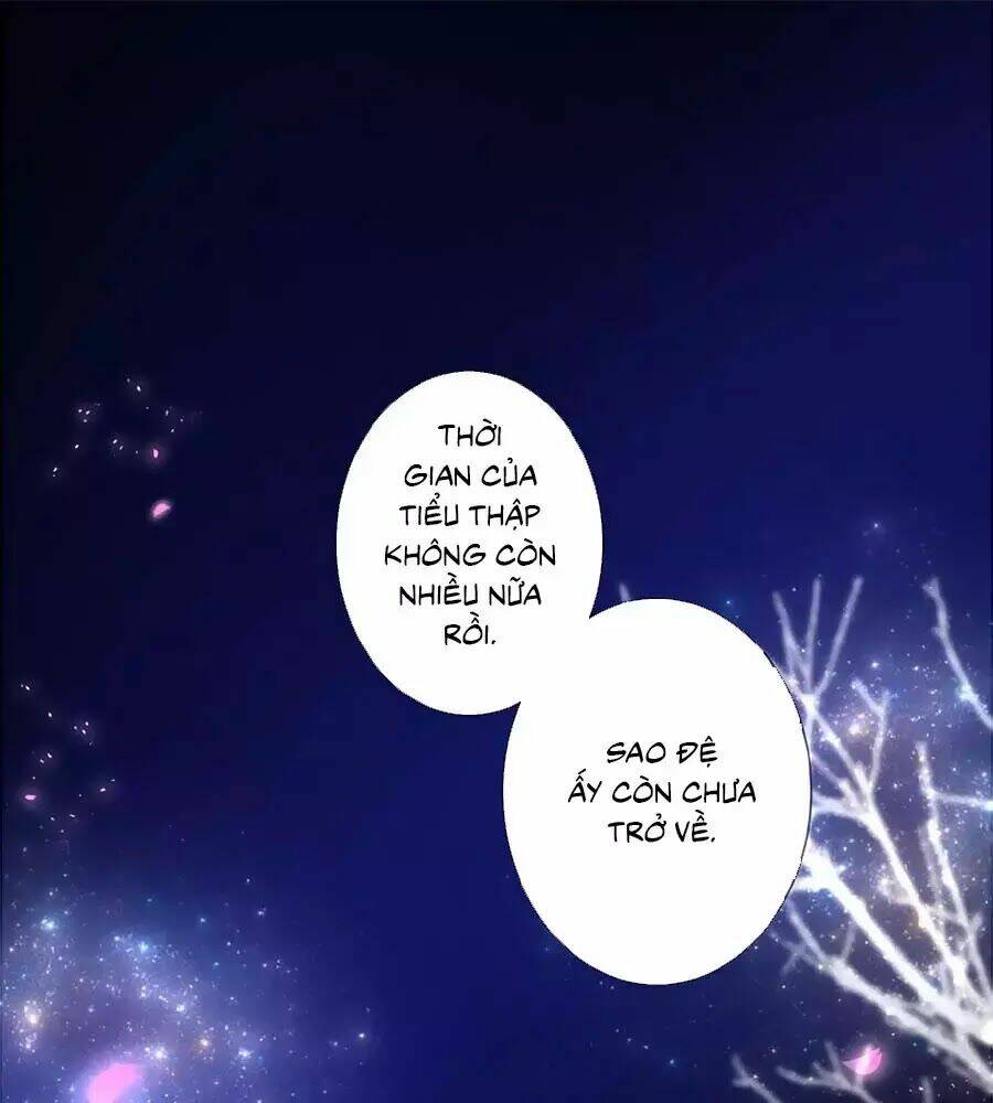 Đóa Hoa Chớm Nở Chapter 23 - Next Chapter 24