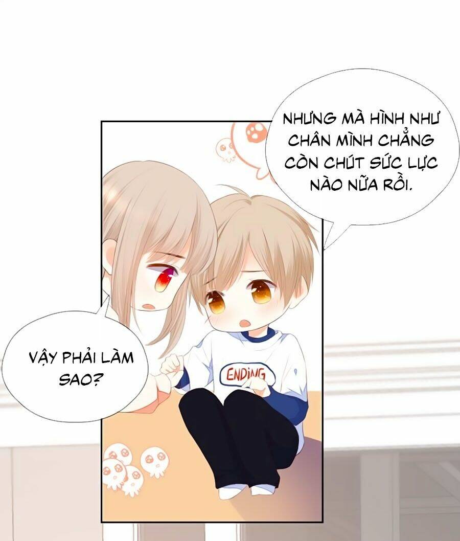 Đóa Hoa Chớm Nở Chapter 70 - Next Chapter 71