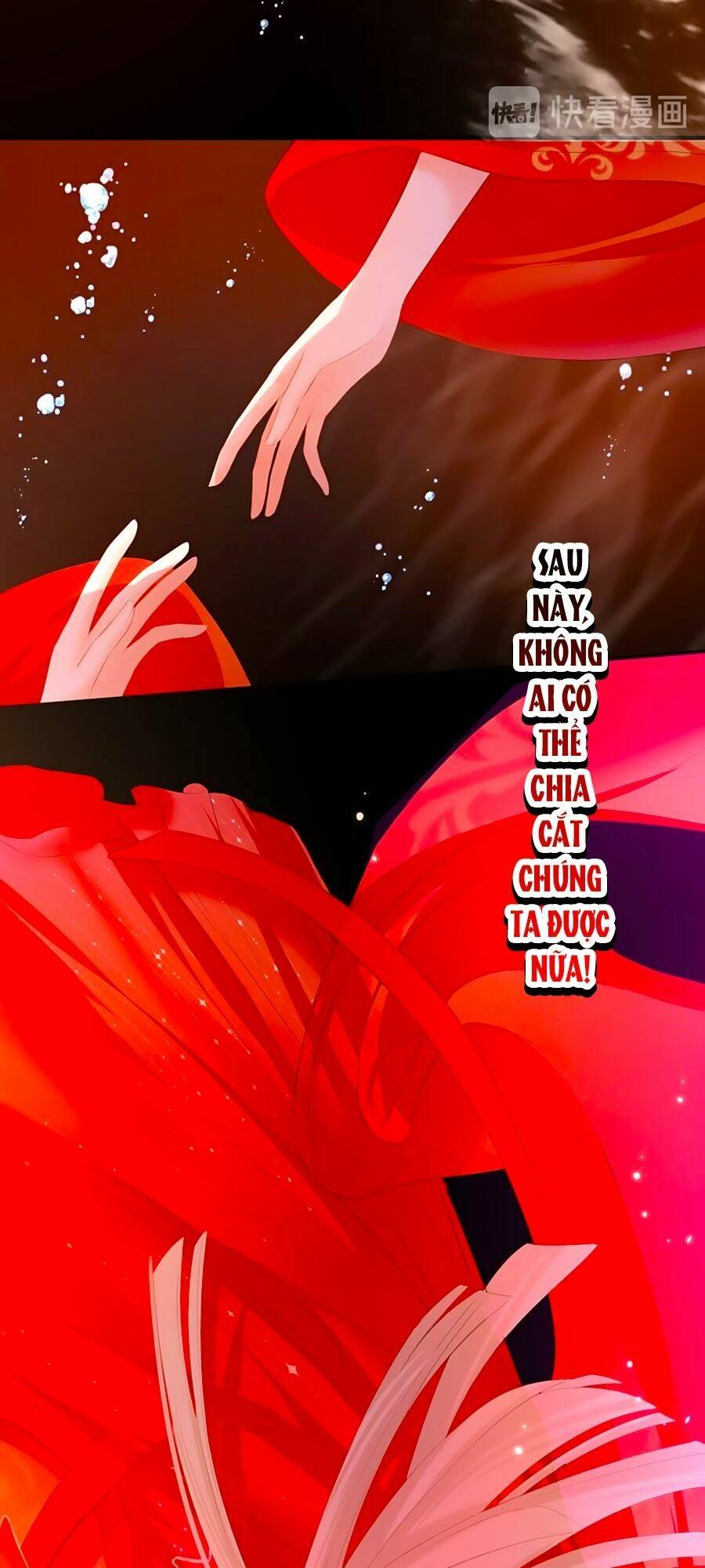 Đóa Hoa Chớm Nở Chapter 75 - Trang 2