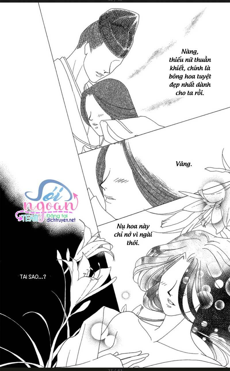 Đóa Hồng Dành Tặng Seri Chapter 16 - Trang 2