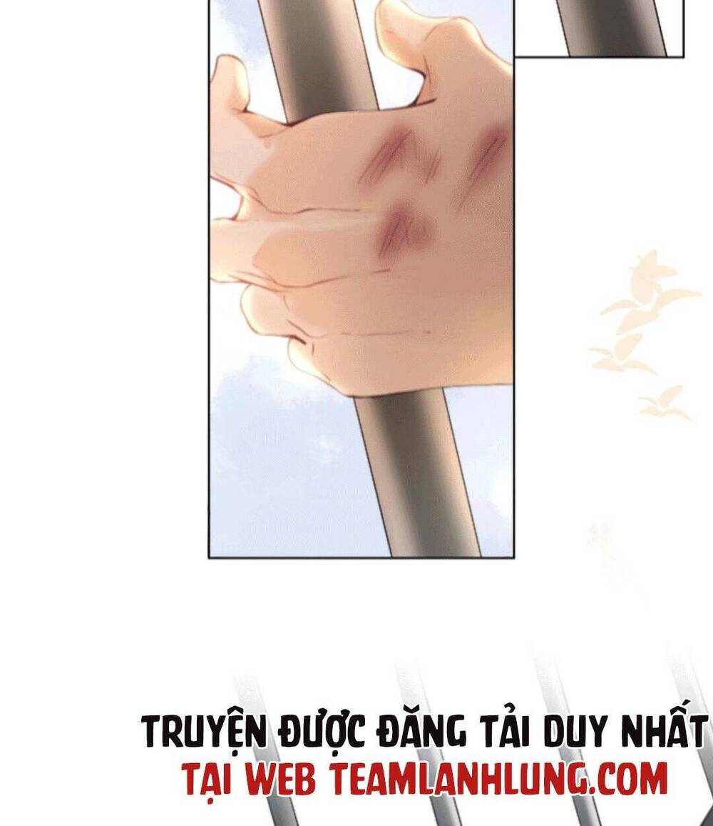 đoàn sủng tiểu kiều của ba ba bạo quân chapter 2 - Next chapter 3