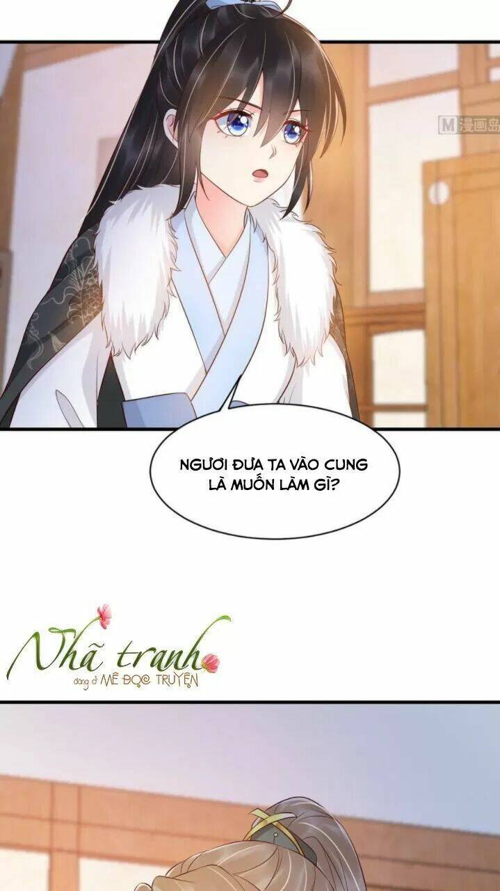 độc phi ngu ngốc không thể chọc chapter 145 - Next chapter 146