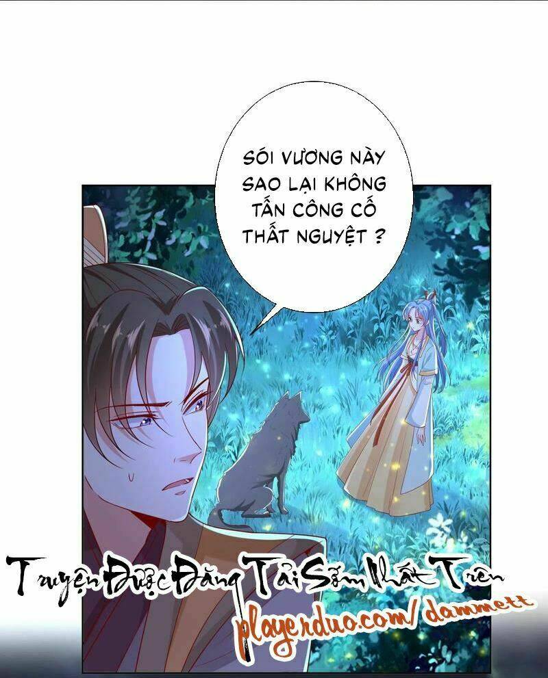 độc y đích nữ Chapter 147 - Trang 2