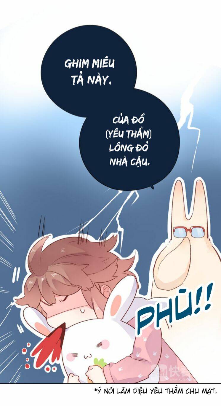 Dolo Mệnh Vận Giao Nang Chapter 46 - Trang 2