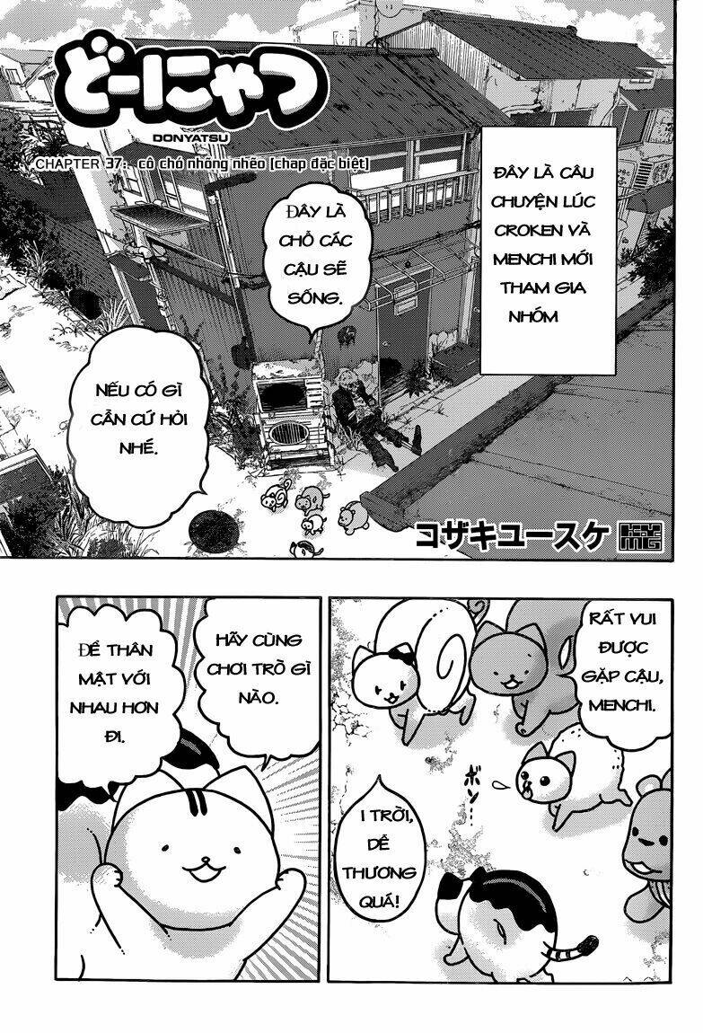 Donyatsu Chapter 37 - Trang 2