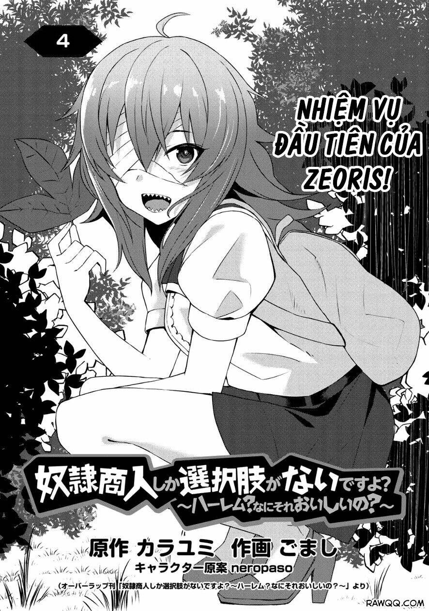 Dorei Shounin Shika Sentakushi Ga Nai Desu Yo? Harem? Nani Sore Oishii No? Chapter 4 - Next Chapter 5