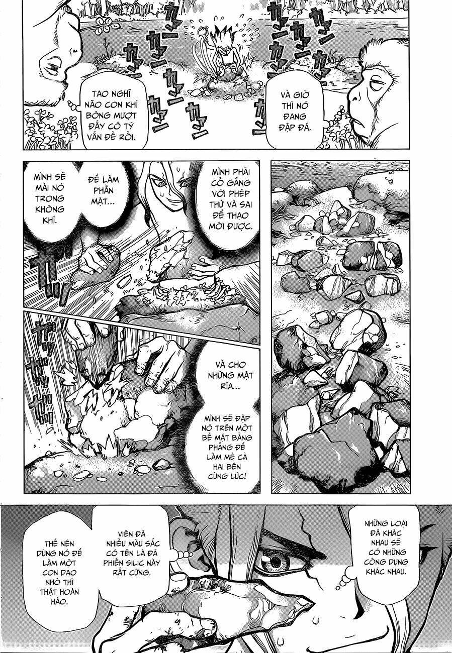 dr.stone - hồi sinh thế giới chapter 13 - Trang 2