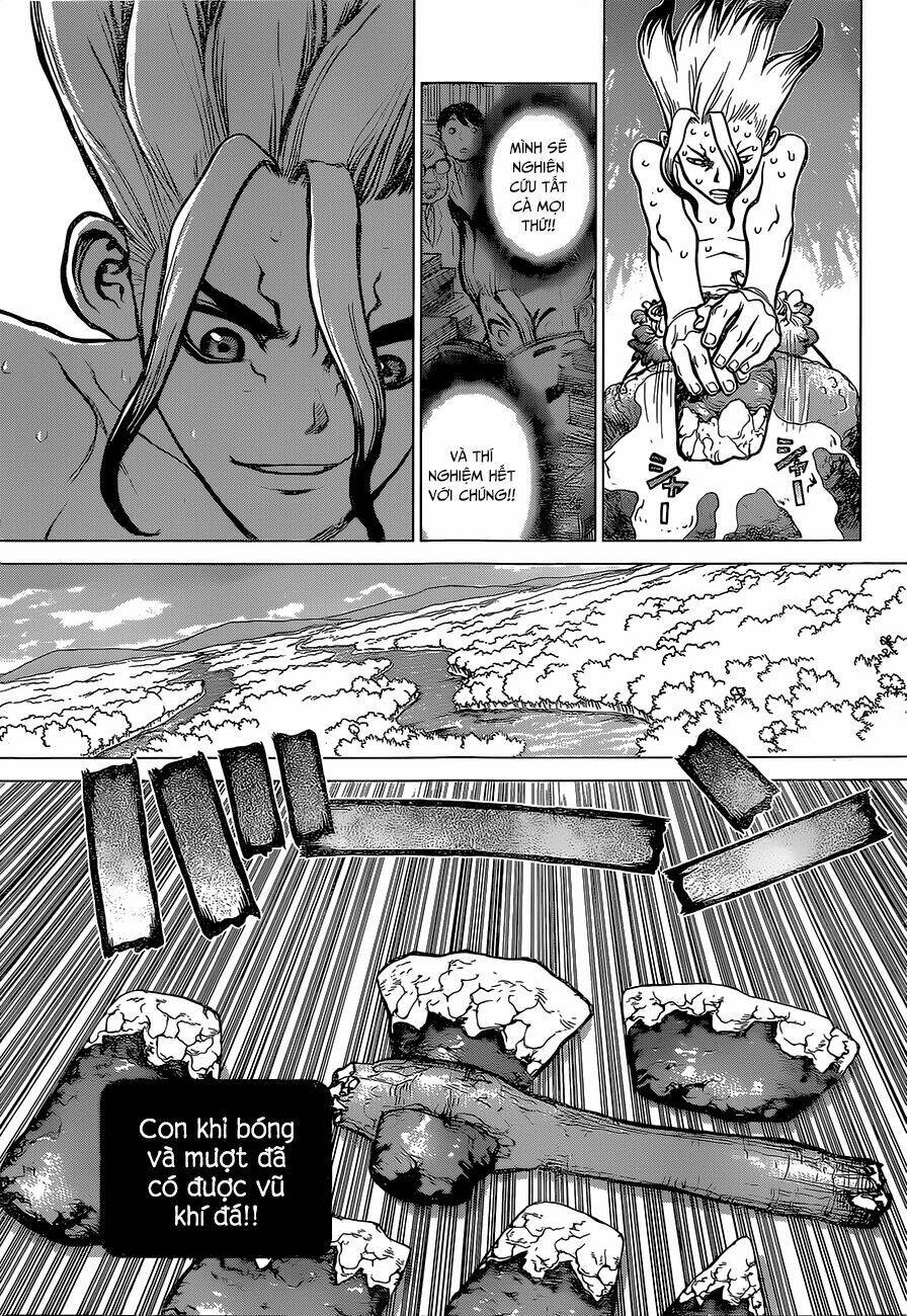 dr.stone - hồi sinh thế giới chapter 13 - Trang 2