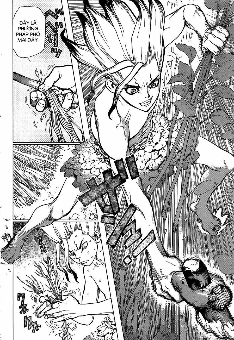 dr.stone - hồi sinh thế giới chapter 13 - Trang 2