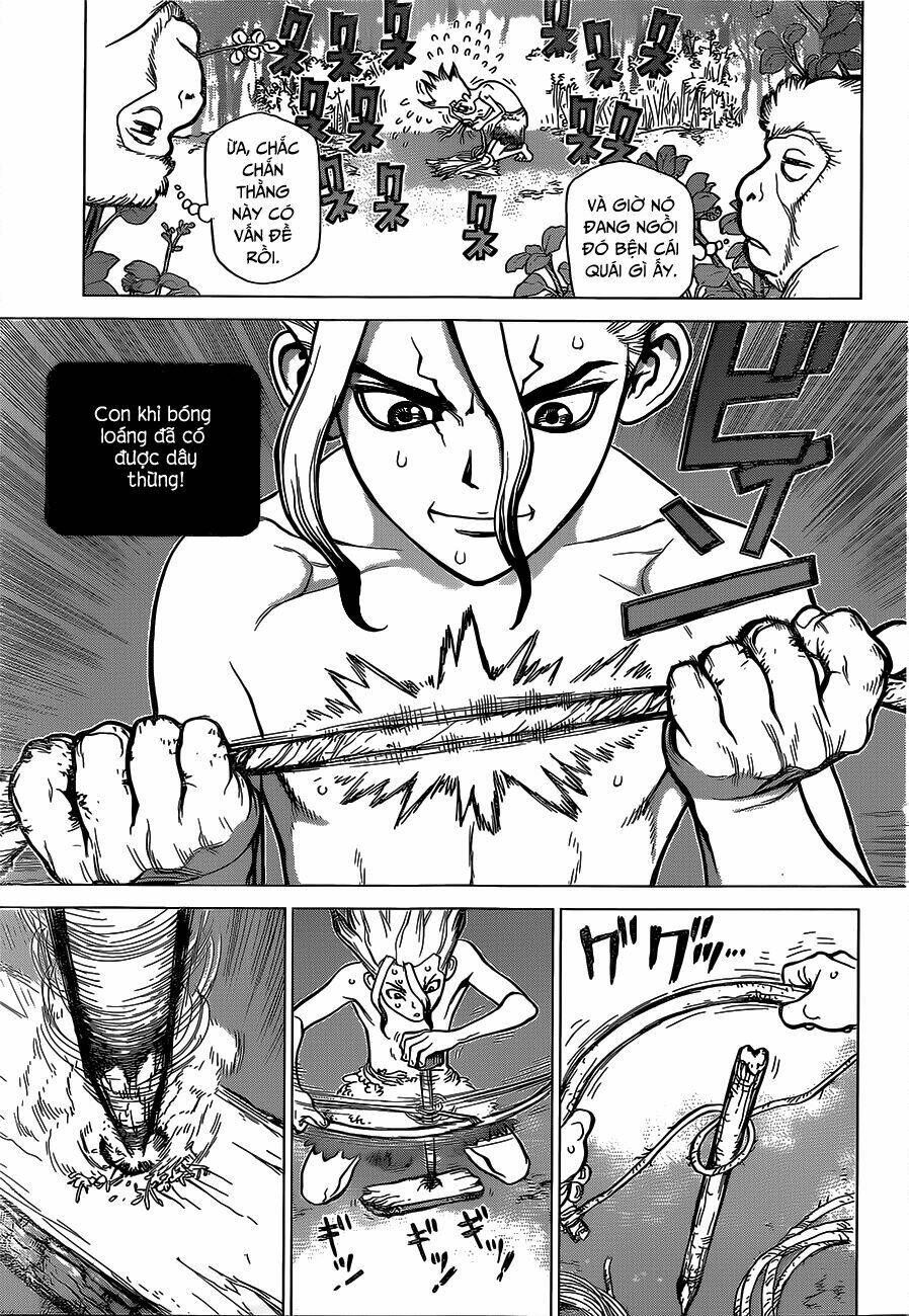 dr.stone - hồi sinh thế giới chapter 13 - Trang 2