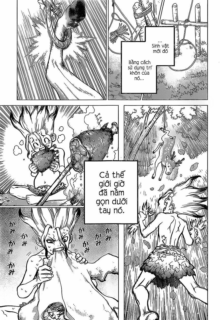 dr.stone - hồi sinh thế giới chapter 13 - Trang 2