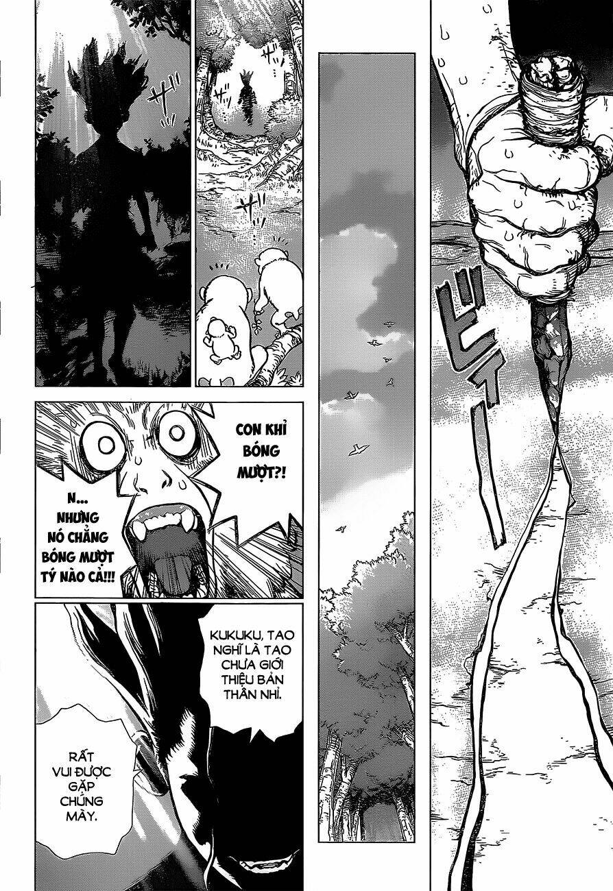 dr.stone - hồi sinh thế giới chapter 13 - Trang 2