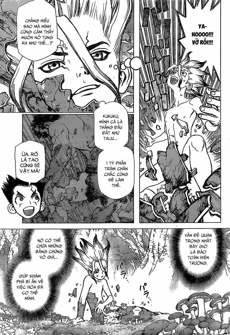 dr.stone - hồi sinh thế giới chapter 13 - Trang 2