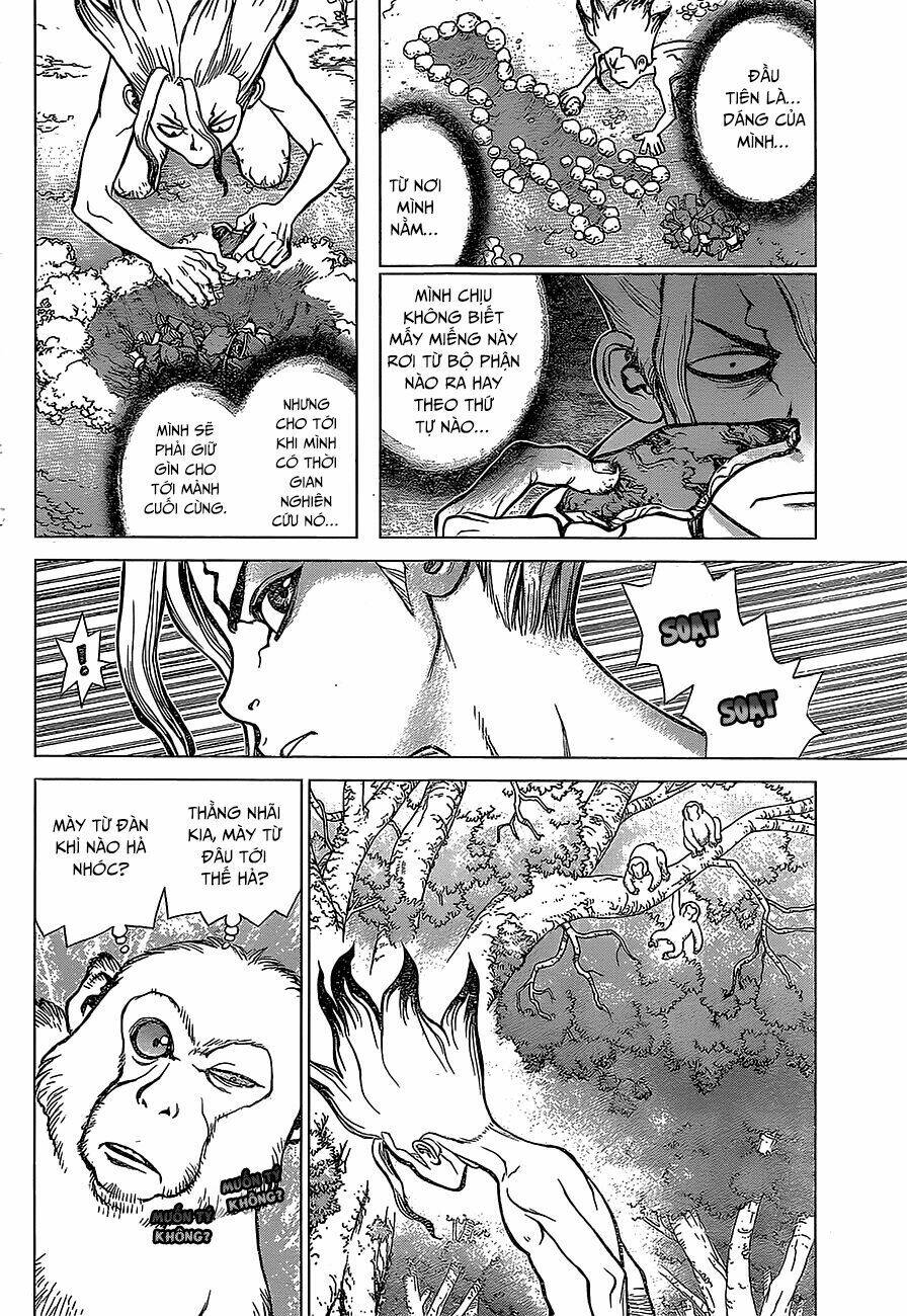 dr.stone - hồi sinh thế giới chapter 13 - Trang 2