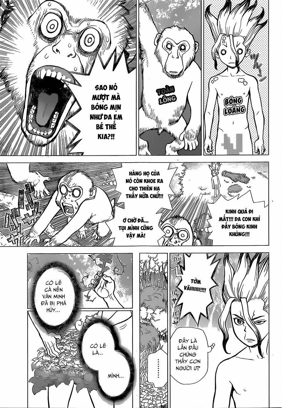 dr.stone - hồi sinh thế giới chapter 13 - Trang 2