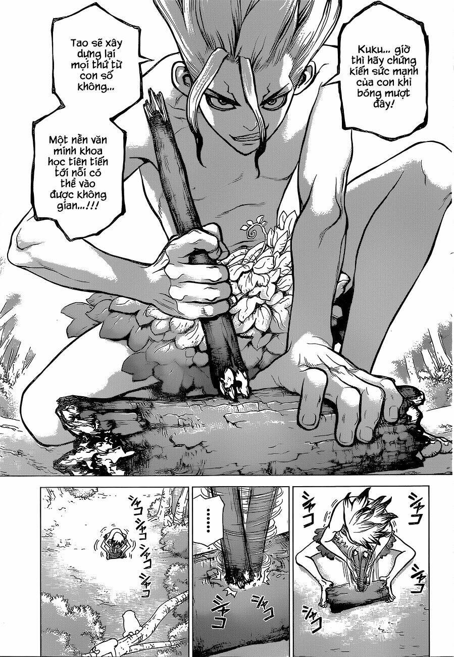 dr.stone - hồi sinh thế giới chapter 13 - Trang 2