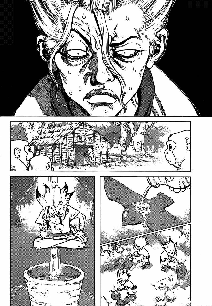 dr.stone - hồi sinh thế giới chapter 14 - Trang 2