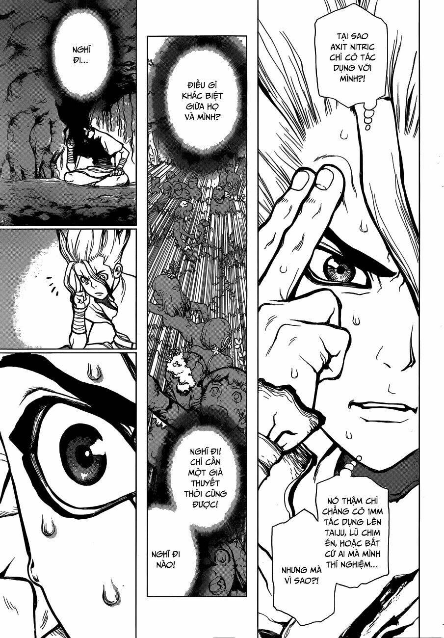 dr.stone - hồi sinh thế giới chapter 14 - Trang 2