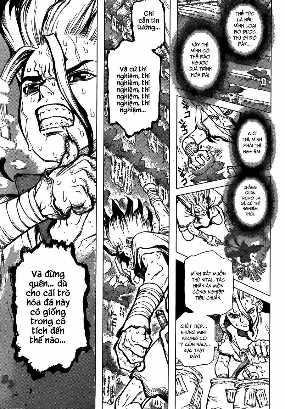 dr.stone - hồi sinh thế giới chapter 14 - Trang 2